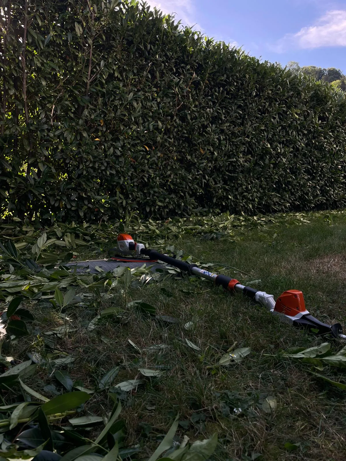 Heckenschnitt - Gartenpflege